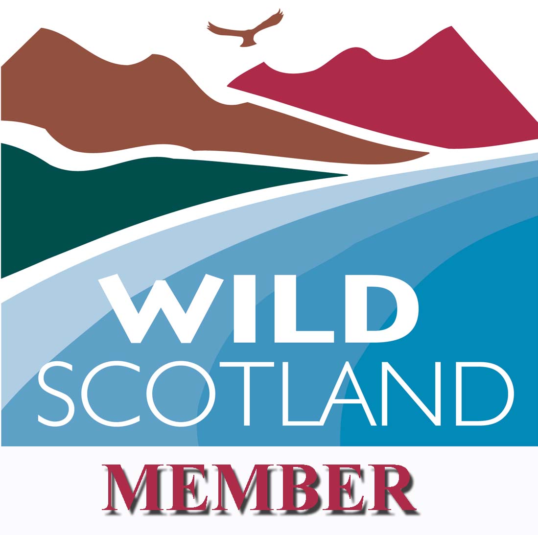 Wild Scotland Award